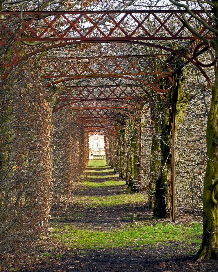 Vesvese Sözlüğü 11-Peygamber Efendimiz (sav)’in Vesveseyle ilgili    Hadis- i Şerifleri ve Korunma Yöntemleri