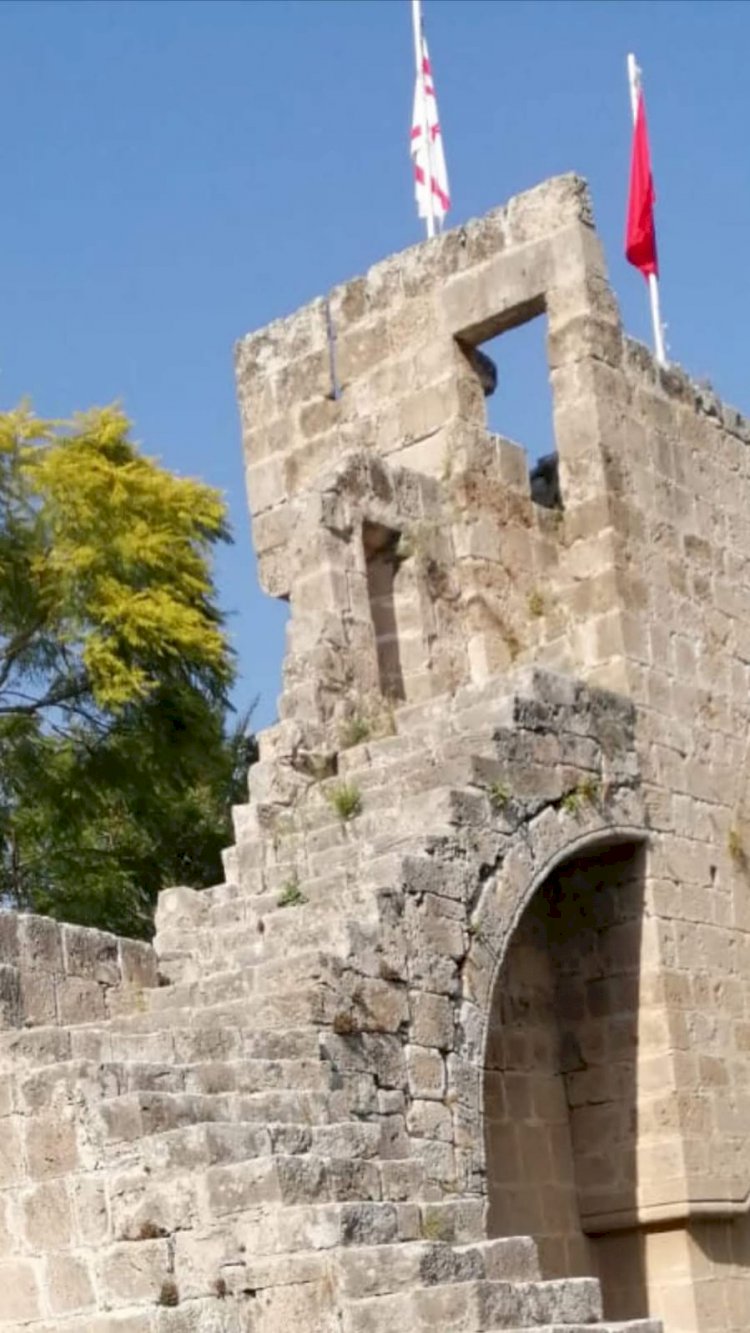 Bu  Milletin Sırtı Yere Gelmez