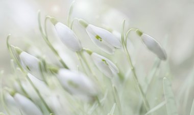 Farkındalık Şiirleri 1- “Hu” Dönüşü