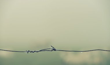 Vesvese Sözlüğü 20- Dikenli Tel