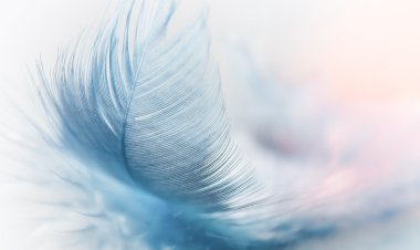 Farkındalık Şiirleri 7- Sen Sendesin Can