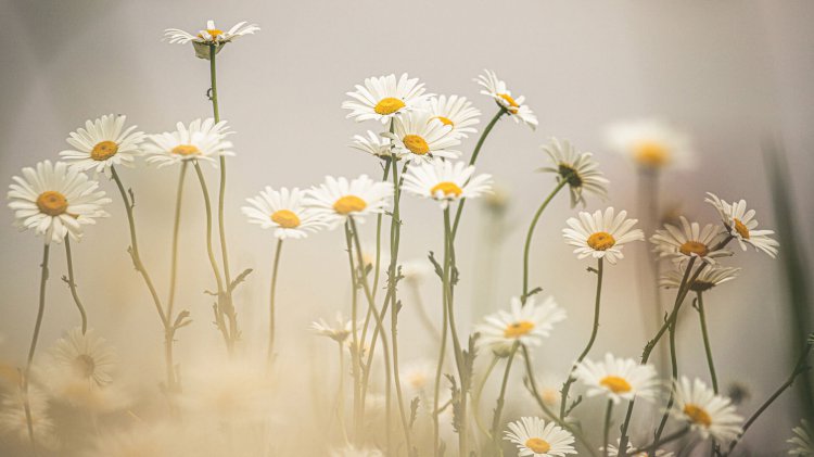 Hayattan Ne Öğrendim?