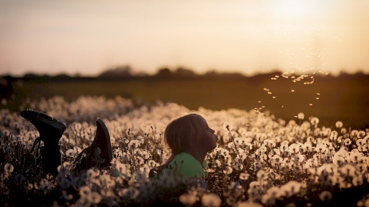 Vesvese Sözlüğü 41-  Daha Sonra O Çocuğa Ne Oldu?