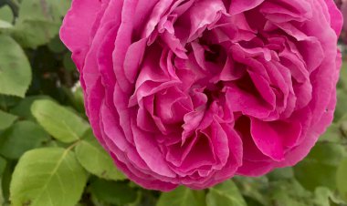 Merhaba Güzel İnsan