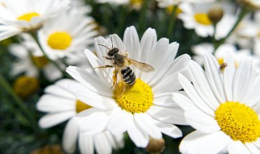 Navigasyon Size Yolu Öğretmez..
