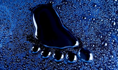 Adım Adım Seni Arıyorum