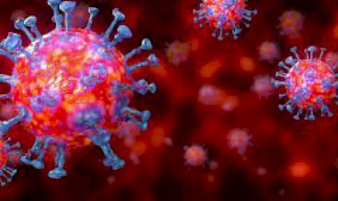 Pandemi Sürecine Uyumlandık