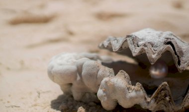 Vesvese Sözlüğü 99- Senin Elinde