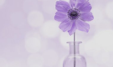 Vesvese Sözlüğü 102- Değersizlik, Değeriniz Olmasın