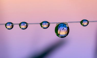 Vesvese Sözlüğü 103- Değerlinin İçinde Değerini Bulabilmek