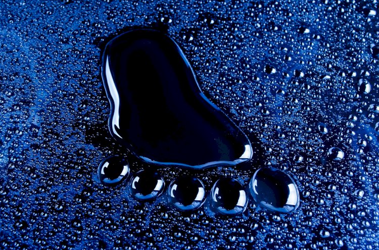 Adım Adım Seni Arıyorum