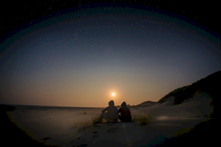 Vesvese Sözlüğü 84- Senaryoyu Bilen Tek Kişi Yaradandır