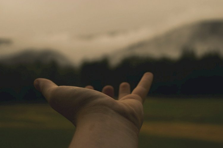 Die Sprache des Universums 13