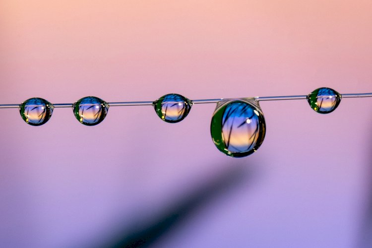 Vesvese Sözlüğü 103- Değerlinin İçinde Değerini Bulabilmek