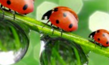 Kendini Yeniden Büyütmelisin