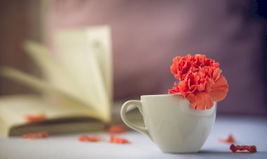 Yüz Yıl Sonraki Torunuma Mektup - 5