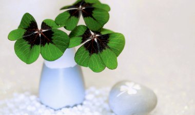 Yüz Yıl Sonraki Torunuma Mektup - 6