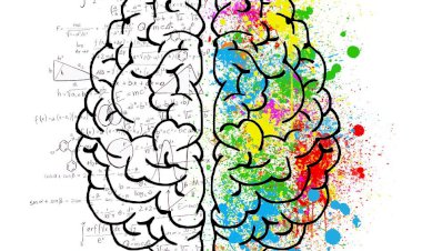 Die Sprache des Universums 6