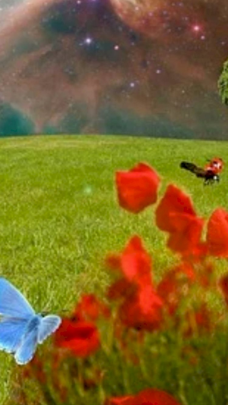 Sen Dünyanın Başına Gelmiş En Harika Şeysin