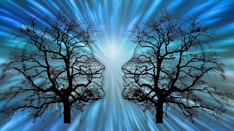 Die Sprache des Universums 16