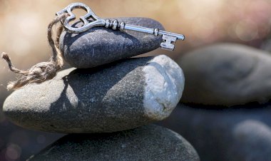 Die Sprache des Universums 11