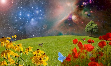 Şimdi Kalbimizin Sesini Dinleme Vakti