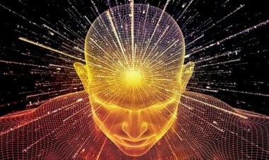 Kainatın İlahi Dili 8