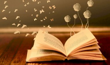 Die Sprache des Universums 32