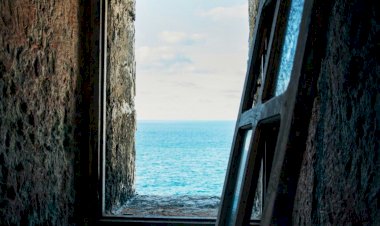 Kainatın İlahi Dili 14