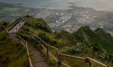 Cesaret Ederek Denemek İster Misin?