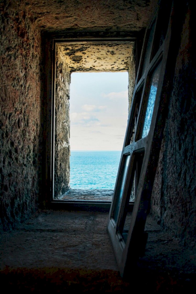 Kainatın İlahi Dili 14