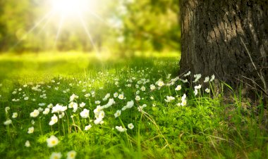 Die Sprache des Universums 25