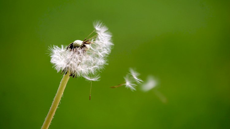 Sahip Olduğun Hiçbir Şey Sen Değilsin