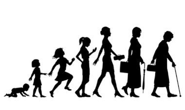 Hayatımız Kaç Yılda Bir Yeni Döngüye Girer?