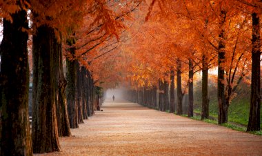 İnandığımız Hayatı Yaşıyoruz