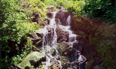 Gelin Tanış Olalım