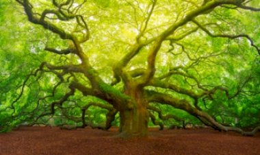 Eğilsen de Kırılma