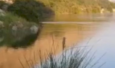 Hayallerinden Bahset