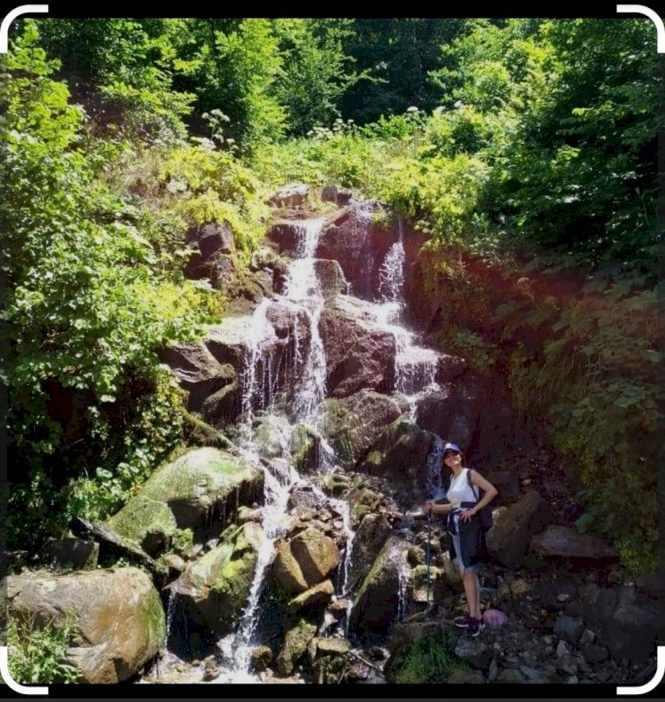 Gelin Tanış Olalım