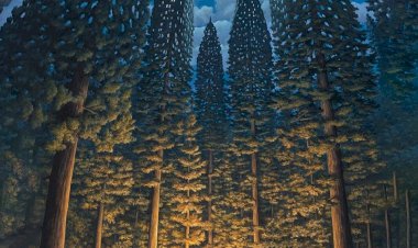 Bilinmezlik Bilinmeye Başlarsa