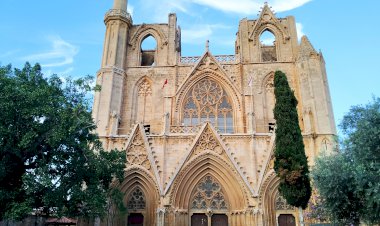 Hayat Seçimlerden İbaret