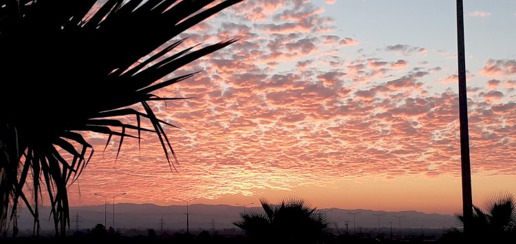 Ölmeden  Önce Ölenlere  Selam Olsun
