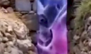 Anda Kal Sen Anda Kal