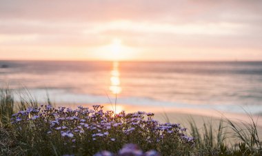 Yüzyıl Sonraki Torunuma Mektup- 10