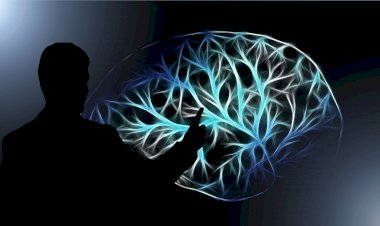 Yüzyıl Sonraki Torunuma Mektup-26