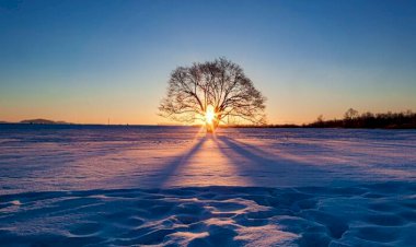 Cesaret mi Gerçek mi