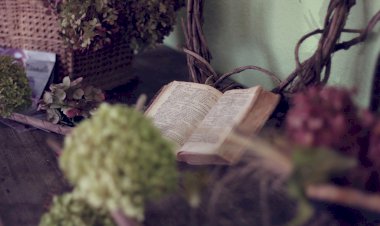 Yüzyıl Sonraki Torunuma Mektup- 44