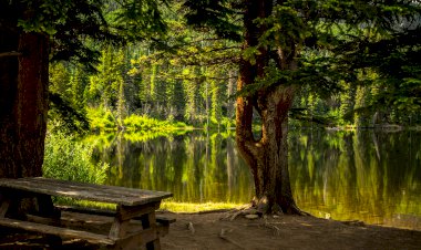 Yüzyıl Sonraki Torunuma Mektup - 45