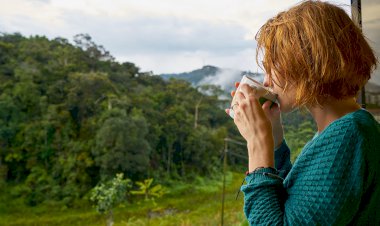 Yüzyıl Sonraki Torunuma Mektup- 49