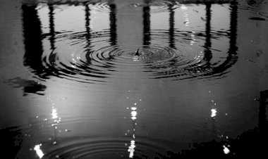 Şuurlar Kapalı, Nefes Yok !